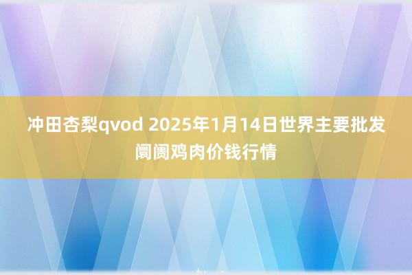 冲田杏梨qvod 2025年1月14日世界主要批发阛阓鸡肉价钱行情