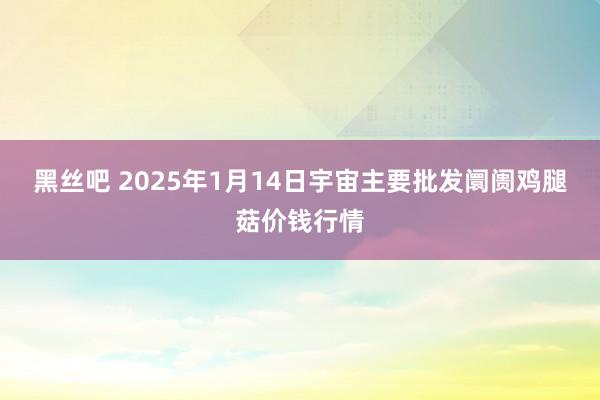 黑丝吧 2025年1月14日宇宙主要批发阛阓鸡腿菇价钱行情