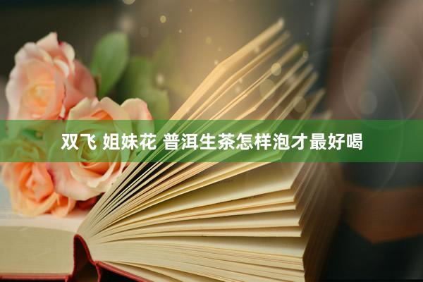 双飞 姐妹花 普洱生茶怎样泡才最好喝
