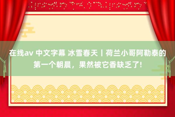 在线av 中文字幕 冰雪春天丨荷兰小哥阿勒泰的第一个朝晨，果然被它香缺乏了!