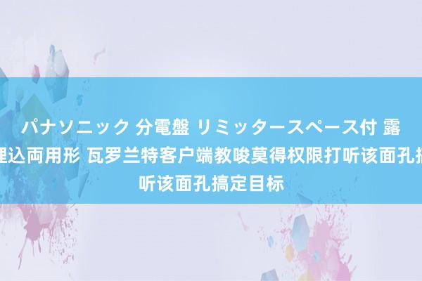 パナソニック 分電盤 リミッタースペース付 露出・半埋込両用形 瓦罗兰特客户端教唆莫得权限打听该面孔