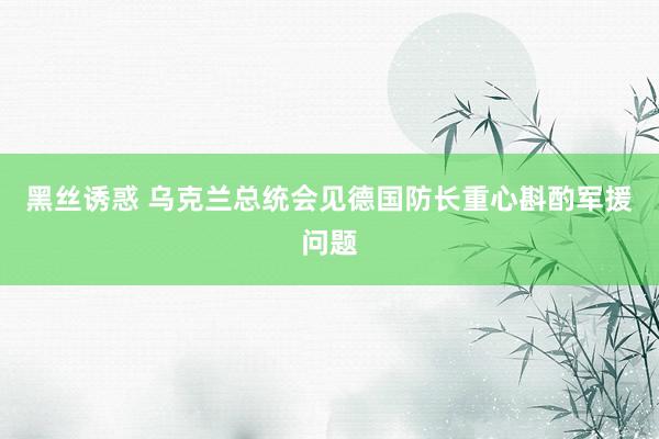 黑丝诱惑 乌克兰总统会见德国防长重心斟酌军援问题