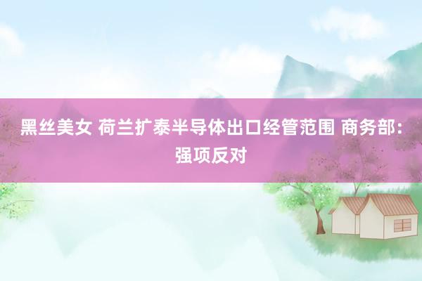 黑丝美女 荷兰扩泰半导体出口经管范围 商务部：强项反对