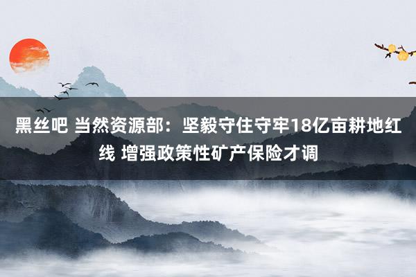 黑丝吧 当然资源部：坚毅守住守牢18亿亩耕地红线 增强政策性矿产保险才调