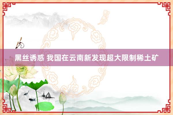 黑丝诱惑 我国在云南新发现超大限制稀土矿