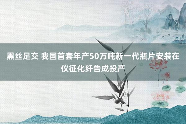 黑丝足交 我国首套年产50万吨新一代瓶片安装在仪征化纤告成投产