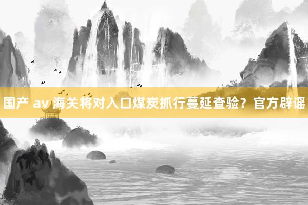国产 av 海关将对入口煤炭抓行蔓延查验？官方辟谣