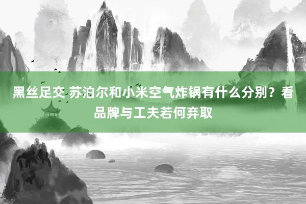黑丝足交 苏泊尔和小米空气炸锅有什么分别？看品牌与工夫若何弃取