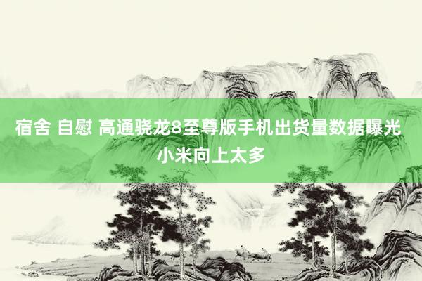 宿舍 自慰 高通骁龙8至尊版手机出货量数据曝光 小米向上太多