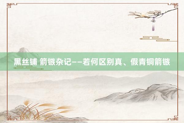 黑丝铺 箭镞杂记——若何区别真、假青铜箭镞