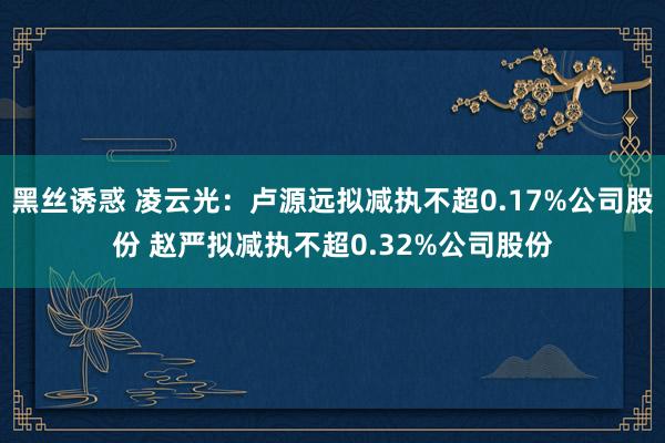 黑丝诱惑 凌云光：卢源远拟减执不超0.17%公司股份 赵严拟减执不超0.32%公司股份