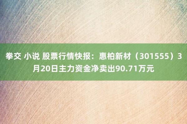 拳交 小说 股票行情快报：惠柏新材（301555）3月20日主力资金净卖出90.71万元