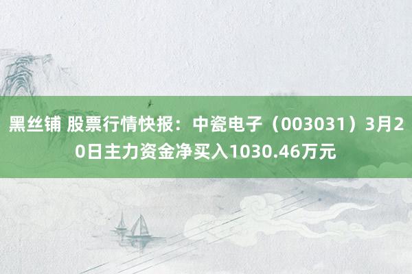 黑丝铺 股票行情快报：中瓷电子（003031）3月20日主力资金净买入1030.46万元