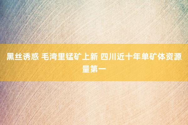 黑丝诱惑 毛湾里锰矿上新 四川近十年单矿体资源量第一