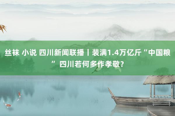 丝袜 小说 四川新闻联播丨装满1.4万亿斤“中国粮” 四川若何多作孝敬？