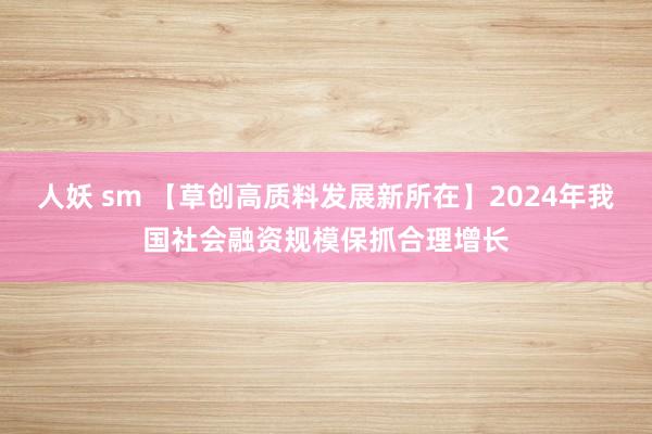 人妖 sm 【草创高质料发展新所在】2024年我国社会融资规模保抓合理增长