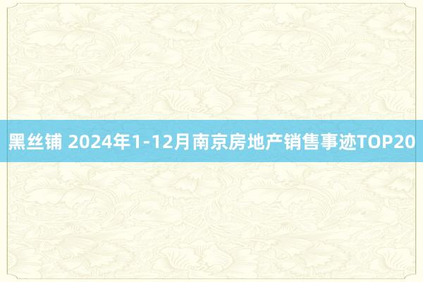 黑丝铺 2024年1-12月南京房地产销售事迹TOP20