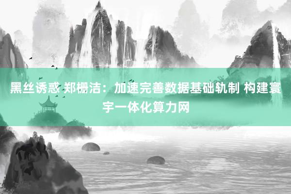 黑丝诱惑 郑栅洁：加速完善数据基础轨制 构建寰宇一体化算力网