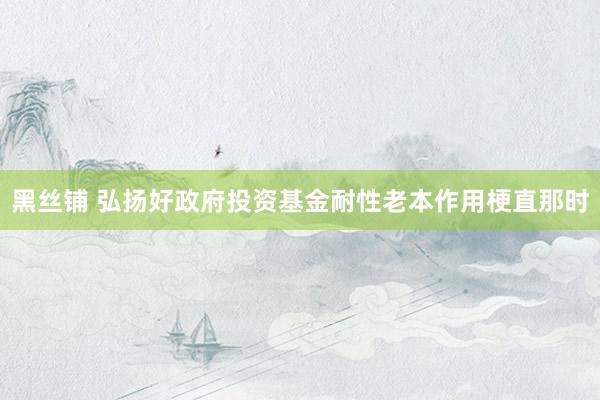 黑丝铺 弘扬好政府投资基金耐性老本作用梗直那时