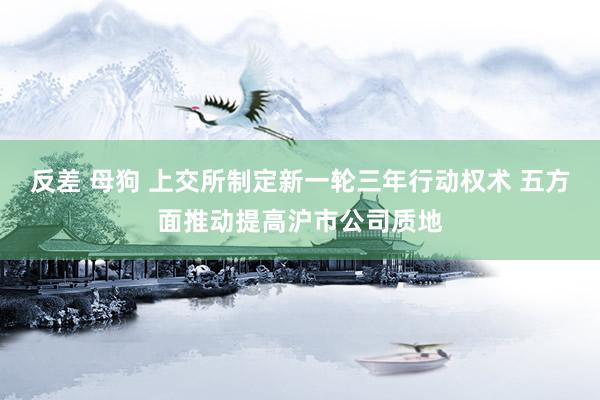 反差 母狗 上交所制定新一轮三年行动权术 五方面推动提高沪市公司质地