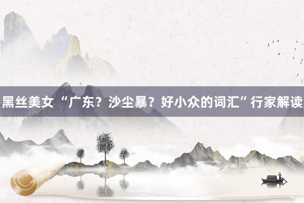 黑丝美女 “广东？沙尘暴？好小众的词汇”行家解读