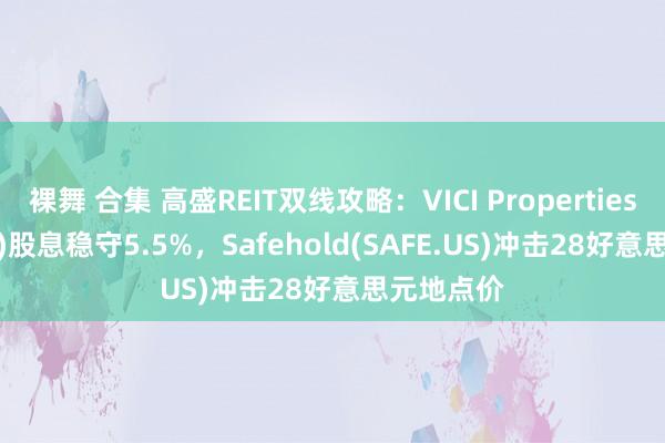 裸舞 合集 高盛REIT双线攻略：VICI Properties(VICI.US)股息稳守5.5%，Safehold(SAFE.US)冲击28好意思元地点价